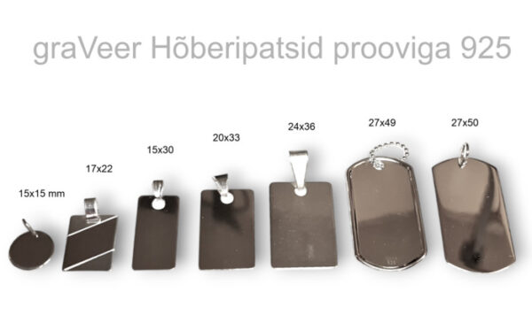Hõberipats 925, vali milline