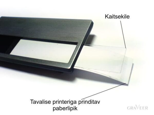 Vahetatav hõbedane - Image 2