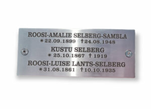 Roostevaba silt raudristile