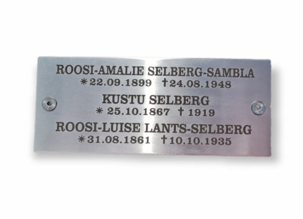 Roostevaba silt raudristile