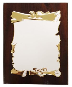 Erikujuline metallist tänuplaat valge ja kuldsega, graveeritud