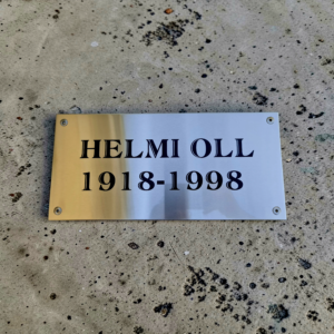 Roostevaba silt, nimi ja kuupäev