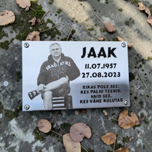 Roostevaba silt , fotoga